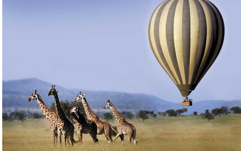hot air balloon safari 