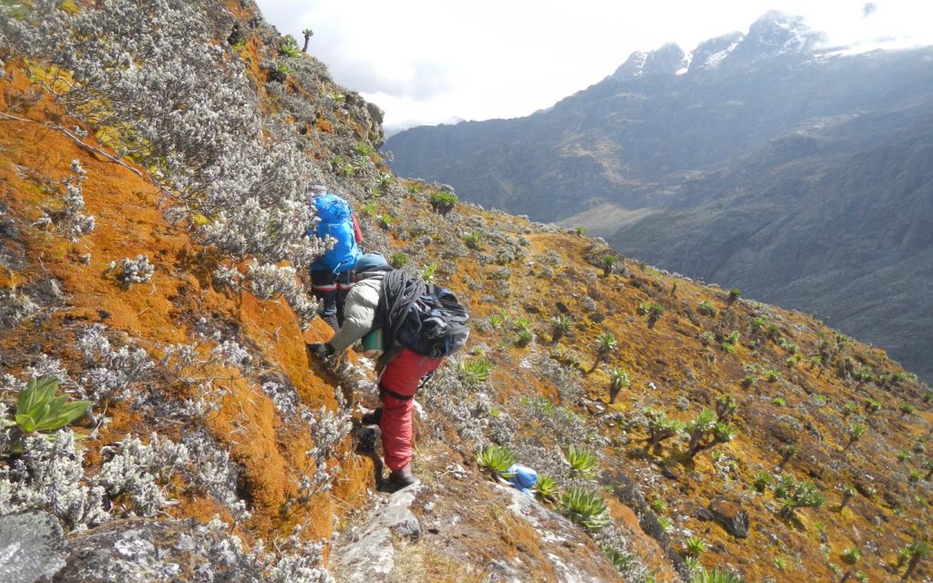 Mountain Hiking