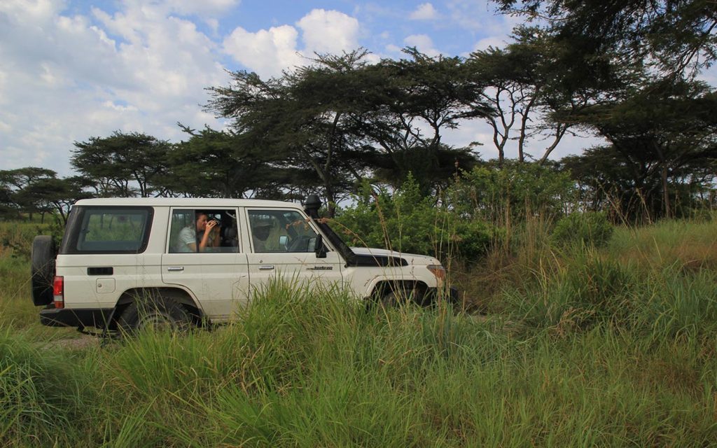 safaris in uganda, gorilla trekking tours, mountain gorilla tours, gorilla trek uganda, rwanda gorilla tour, gorilla tracking uganda, safaris africa, gorilla camp, buhoma, murchison national park