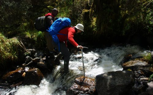 safaris in uganda, gorilla trekking tours, mountain gorilla tours, gorilla trek uganda, rwanda gorilla tour, gorilla tracking uganda, safaris africa, gorilla camp, buhoma, murchison national park