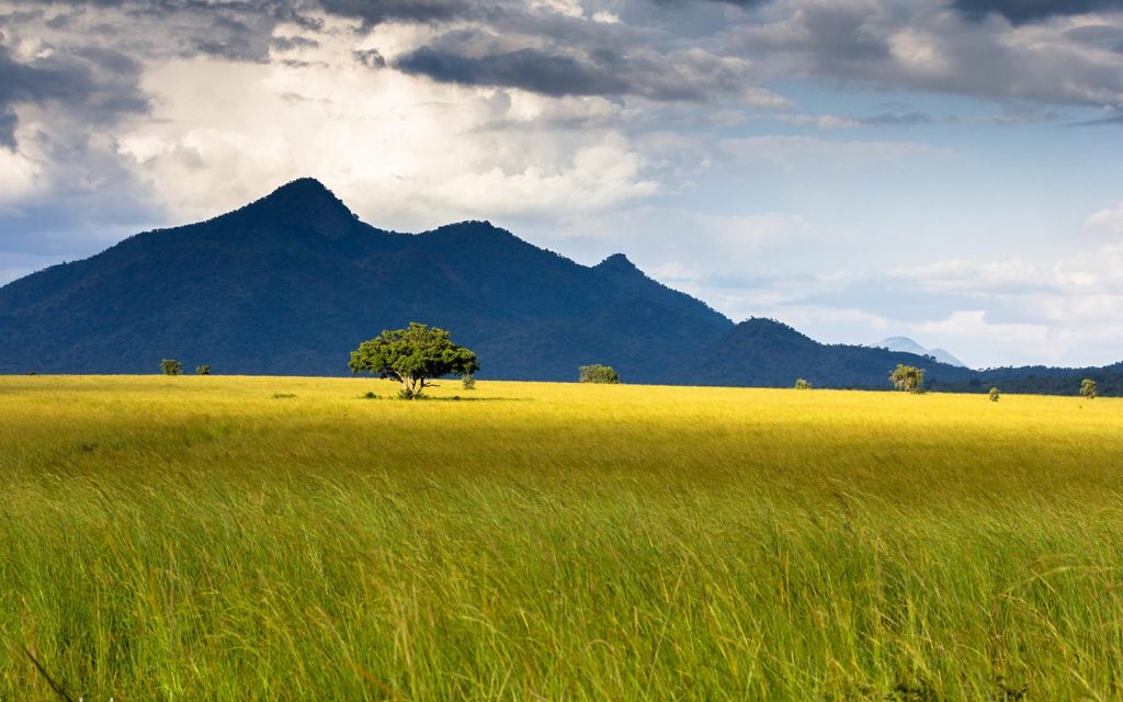 Kidepo Valley National Park