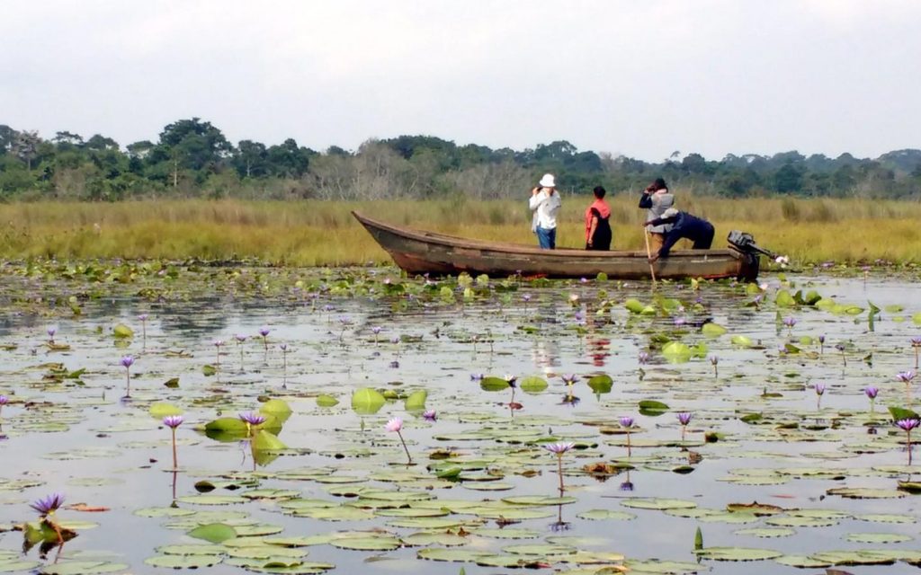 safaris in uganda, gorilla trekking tours, mountain gorilla tours, gorilla trek uganda, rwanda gorilla tour, gorilla tracking uganda, safaris africa, gorilla camp, buhoma, murchison national park