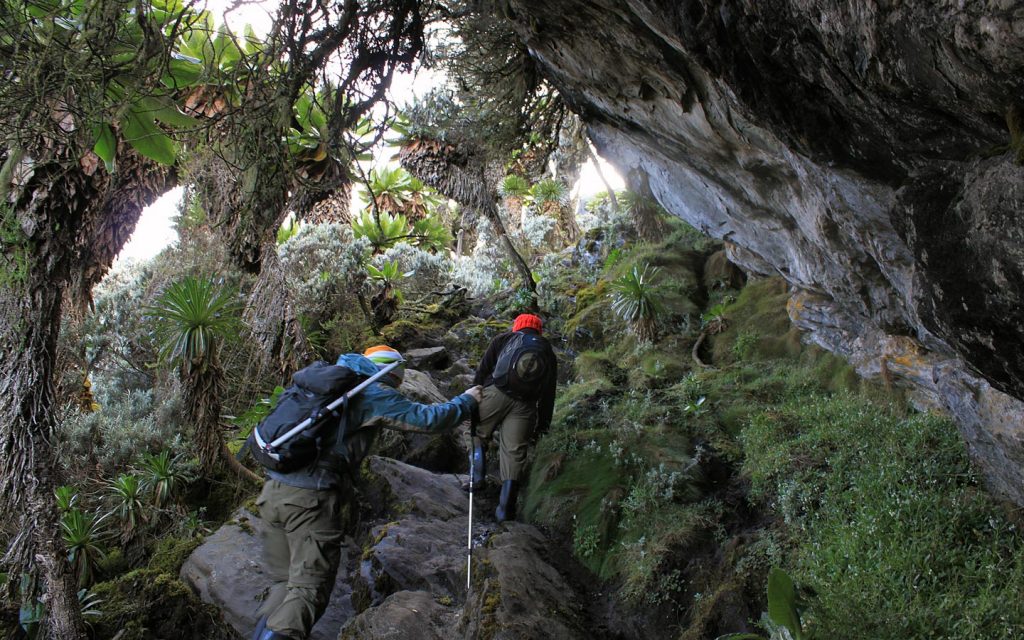 mountain climbing in Uganda