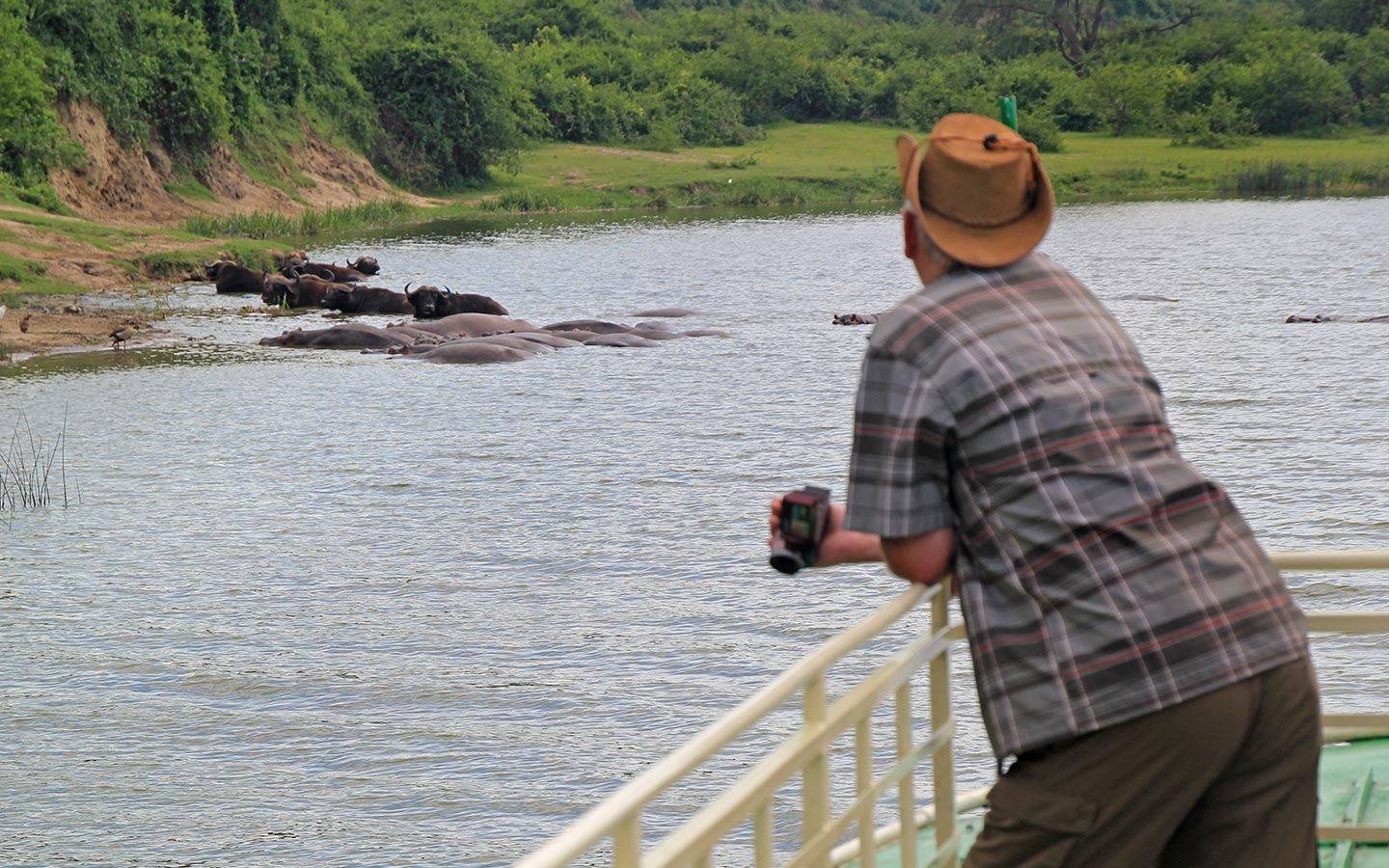 Wildlife Boat Safaris