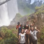 tree climbing lions, uganda tours, lake mburo, mgahinga gorilla national park, lions climbing trees, gorilla families, game safari, kyambura game lodge, best time to visit uganda, gorilla tour