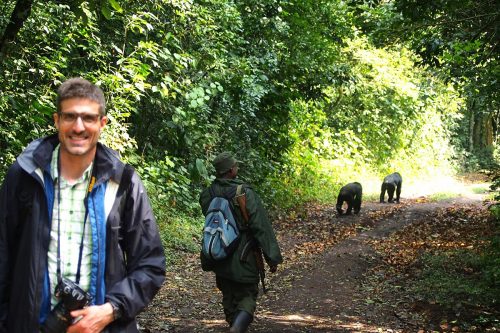 african safari tours, can lions climb trees, do lions climb trees, safari tour, safari trip, rwanda gorilla trek, gorilla travel, bujagali falls, gorilla safari, rwanda gorilla trekking