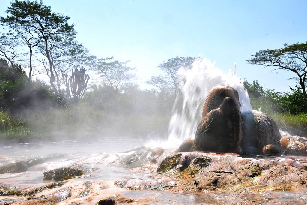 uganda gorilla trekking, rwanda gorilla, african safari packages, african safari trip, impenetrable forest, gorilla mountain, gorilla trek, kidepo, queen elizabeth park uganda, paraa lodge