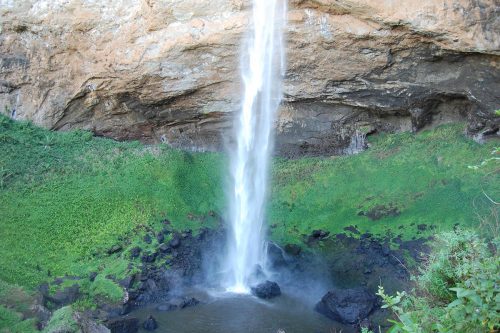 uganda gorilla trekking, rwanda gorilla, african safari packages, african safari trip, impenetrable forest, gorilla mountain, gorilla trek, kidepo, queen elizabeth park uganda, paraa lodge