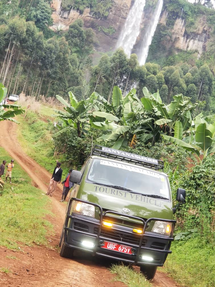 african safari tours, can lions climb trees, do lions climb trees, safari tour, safari trip, rwanda gorilla trek, gorilla travel, bujagali falls, gorilla safari, rwanda gorilla trekking