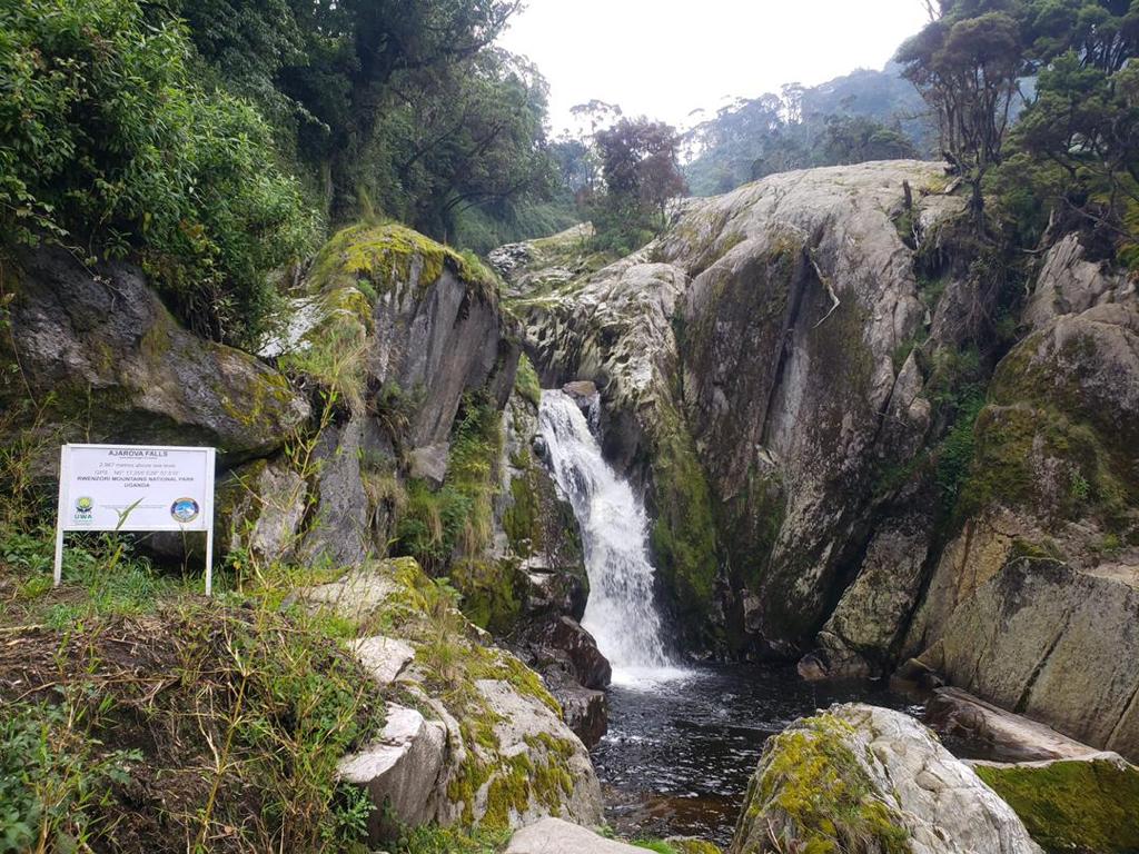 Mountain-Rwenzori