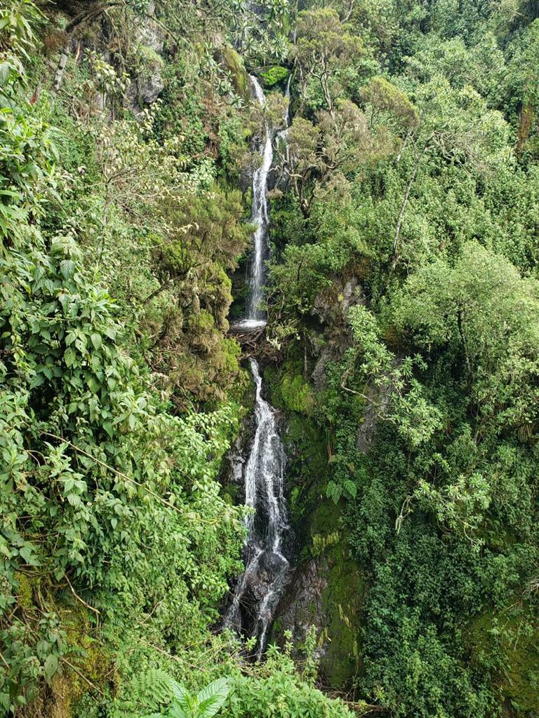 Hiking-Mt- Rwenzori