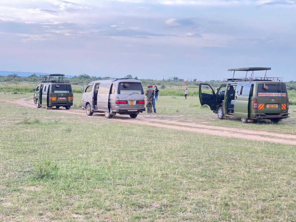 game drive road drip activities on the road