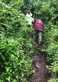Hiking-Sipi-falls