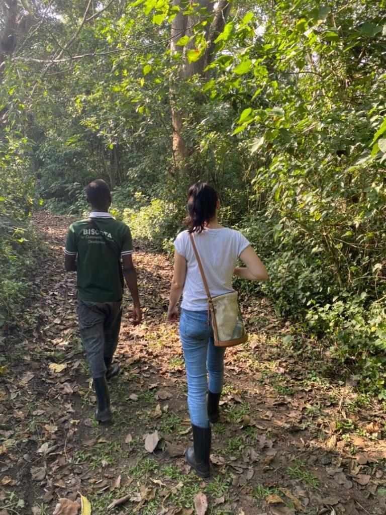 Bigodi-swamp-walk