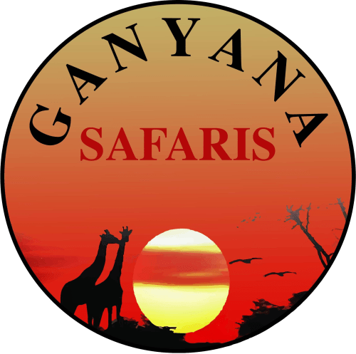 ganyana-safaris-sunset-logo-transparent