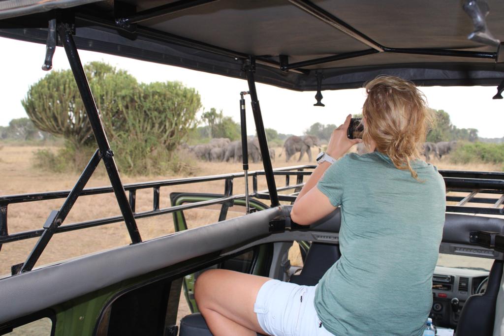 game drive