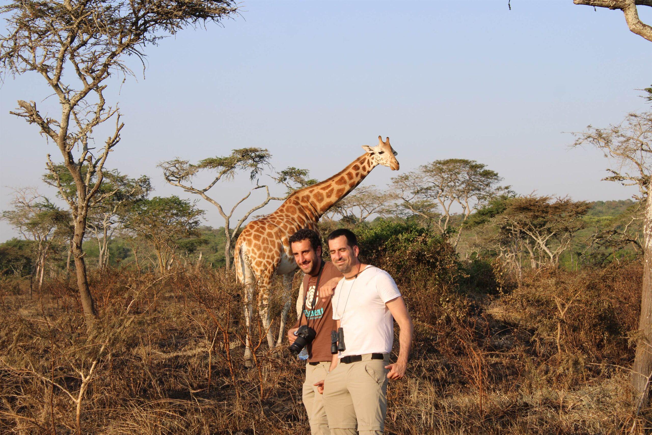 12 Days Uganda Wildlife and Gorilla Safari