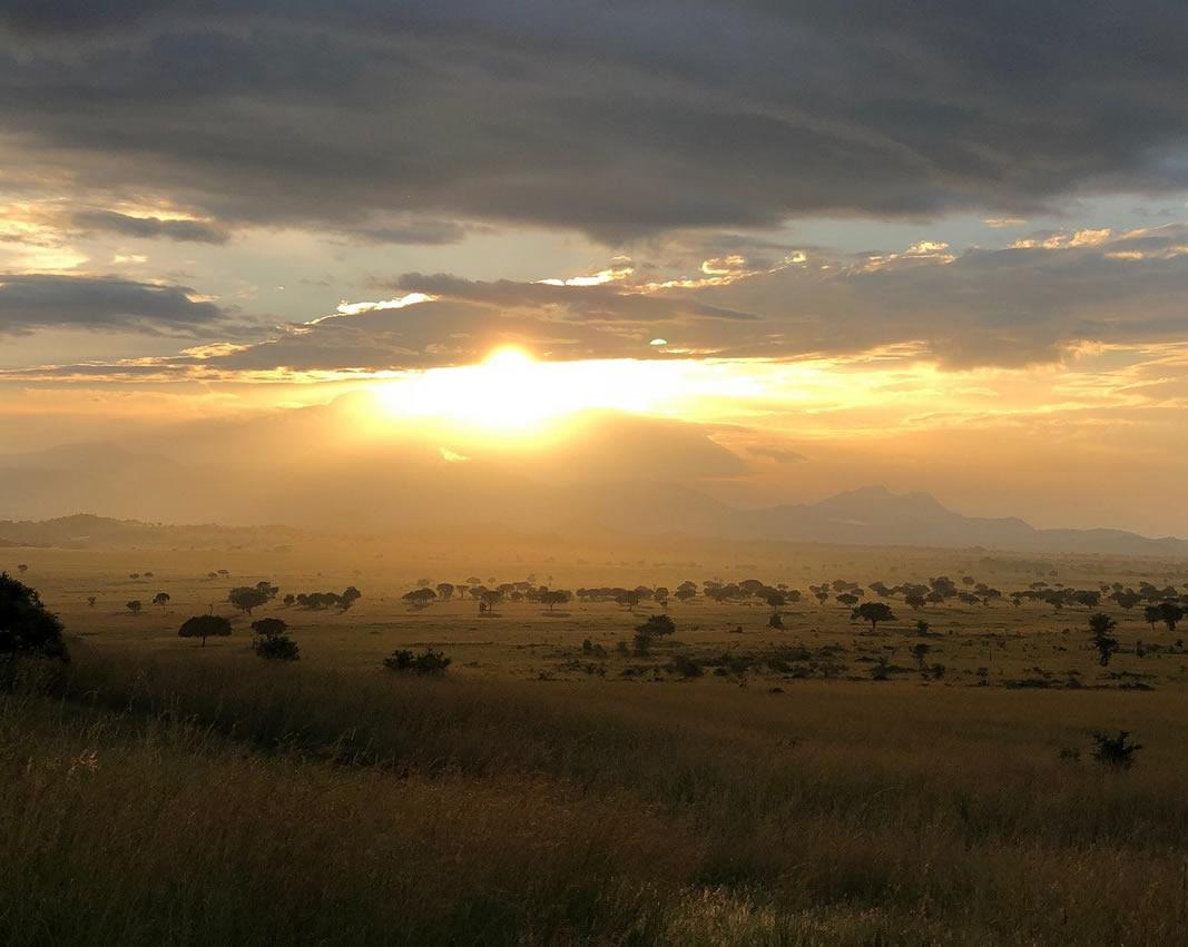 15 Days Ultimate Primates and Game Safari