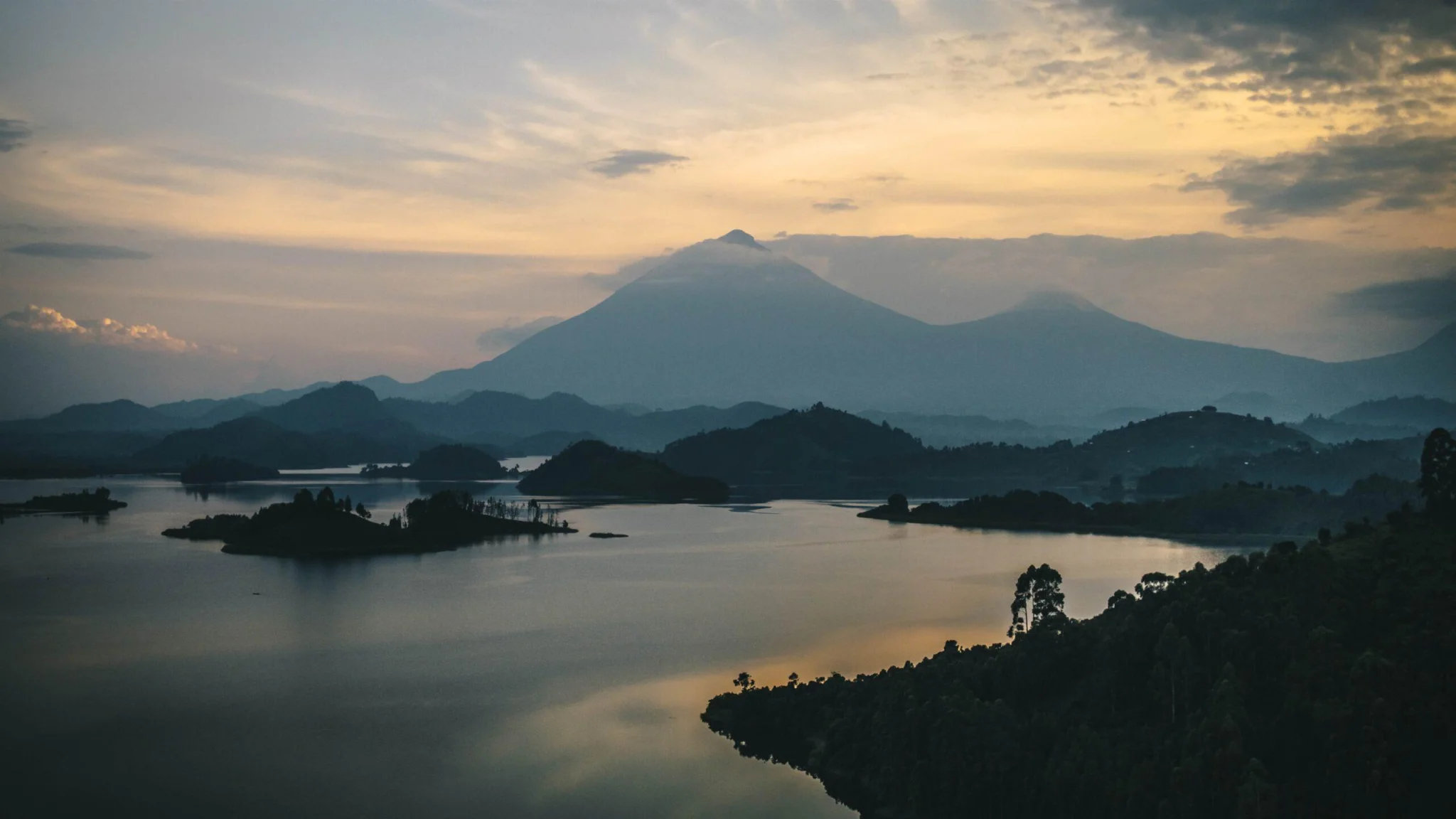 tree climbing lions, uganda tours, lake mburo, mgahinga gorilla national park, lions climbing trees, gorilla families, game safari, kyambura game lodge, best time to visit uganda, gorilla tour